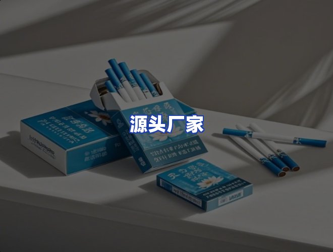 专业团队